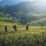 Kinh Nghiệm Du Lịch Sapa Từ A Đến Z Cho Người Mới
