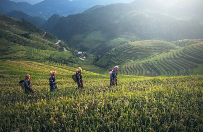 Kinh Nghiệm Du Lịch Sapa Từ A Đến Z Cho Người Mới